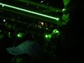 dj-juanma-vs-javi-boss-dj-tby-hardcore-mix.html