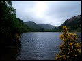 Down By The Sally Gardens Irish song Celtic music woman