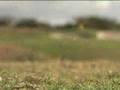 golf  course