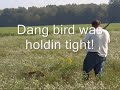 We're getting ready for the upcoming season, so we set out some birds and had at em....all in all, we had fun!