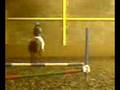 Me Jumping Rolie