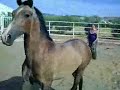 arano pre birth 05/2007