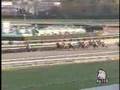 2008 ガーネットステークス Garnet Stakes