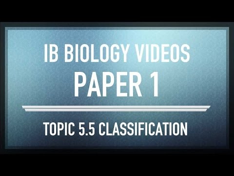 how to study for ib biology sl exam