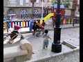 huguito 1 huguito 1