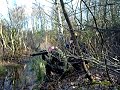 Airsoft Serpent Tueur