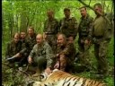 Putin Tranquilizes Tigress