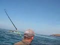 pesca aos sargos