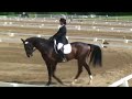 Voyager - Waterloo Dressage June 8, 2008 Voyager - Waterloo Dressage June 8, 2008