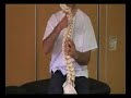 funcionamiento de la COLUMNA VERTEBRAL (spine how it works) funcionamiento de la COLUMNA VERTEBRAL (spine how it works)