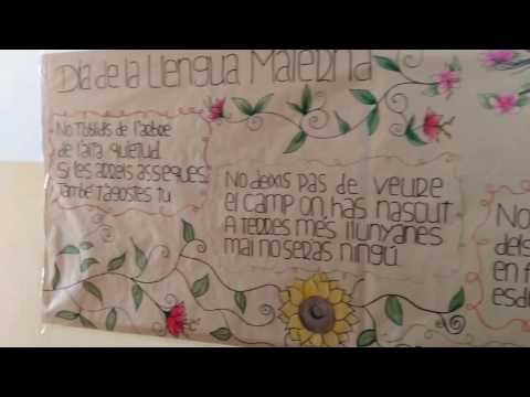 Imatge de previsualització de YouTube