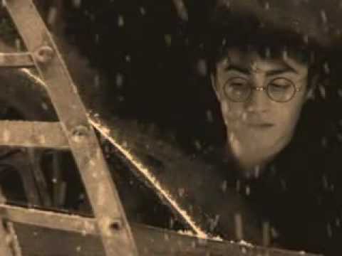 Harry Potter - In Loving memory
