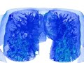 cool amazing scientific computer simulations