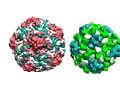 Cool-Amazing Scientific Computer Simulations