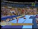 2006-WorldCupFinal-NanZhang-EF-BB