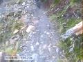 Tim Murray MTB Crash