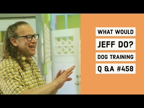 Stop dog reactivity | Stop dog growling | What Would Jeff Do? Dog Training Q & A #458