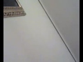 http://www.youtube.com/v/yEUkjpf6F3c