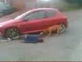 videos de tuesday20thMay.3gp