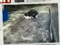 Click here to watch this video bersetubuh di khalayak