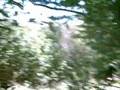 videos de Three weekends at the 7 Stanes