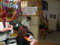 Fun with Helium and Passing Out