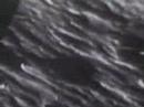 U F O filmed during Apollo 12 mission