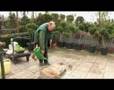 Tips voor de tuin: deel 2a - Zaaien en planten