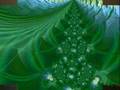e-natal