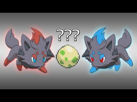 pokemon black pokemon black