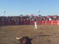 el salu de tudela de duero concurso de cortes matapozuelos cabeza de toro