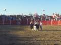 el salu de tudela de duero concurso de cortes matapozuelos cabeza de toro