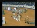 Dr Hollywood DVM 2003 AQHA World Show