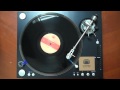 Date Palms - Honey Devash LP - Side A (Mexican Summer Sides Series)