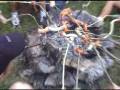 videos de Bräteln.mpg