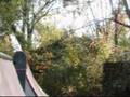 Backyard-Halfpipe