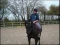 Rip Kirstie Foster (u)