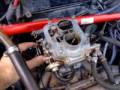 Double Carb Y10