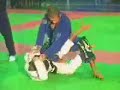 Bernardo Pitel x Allison Mello by X-COMBAT Bernardo Pitel x Allison Mello by X-COMBAT