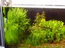 Acuario en verano, dia