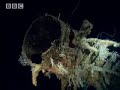 Investigating an underwater ship wreck- The Abyss- BBC Wildlife