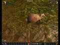 Konijntje Wiebel - WoW versie