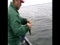 Oneidia Lake Bass Fishing Oneidia Lake Bass Fishing