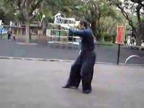 Yang Taiji Quan - Small Frame (pt2) See video