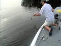 Bass Fishing Bass Fishing