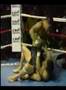 Evans Vasquez Vs Wady Salgado