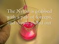 Elementary Productions: Nylon synthesis