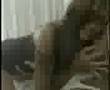 touraj