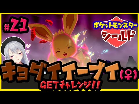 【ポケモン シールド】キョダイイーブイ♀、捕獲するまで終わらない！！【にじさんじ / 樋口楓】