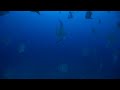 Scuba Dive the USS Duane Scuba Dive the USS Duane